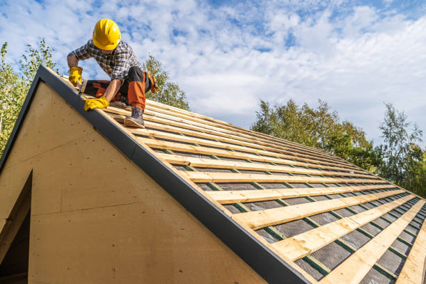 Best Roof Gutter Cleaning  in Big Pine, CA